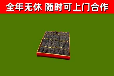 文圣回收海参